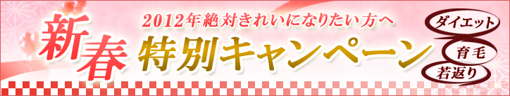 2012新春特別キャンペーン