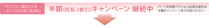 2012新春キャンペーン_半額