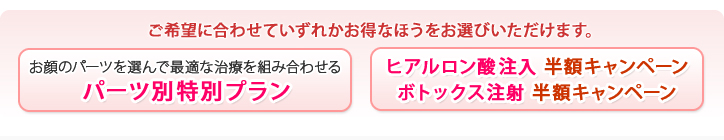 2012新春キャンペーン若返り2つのメニュー