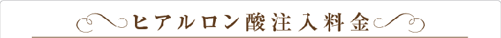 ヒアルロン酸注入料金