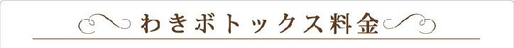 わきボトックス料金