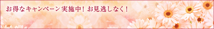 お得なキャンペーン実施中!お見逃しなく!