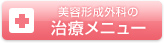 美容形成外科の治療メニュー