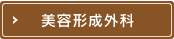 美容形成外科