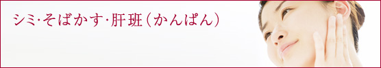 シミ・そばかす・肝班（かんぱん）