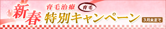 育毛・発毛/育毛治療