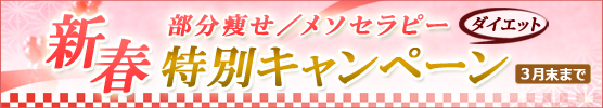 部分痩せ/メソセラピー