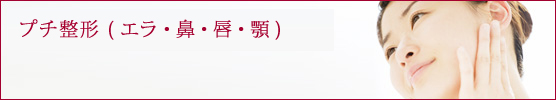 プチ整形