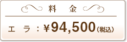 �����b�G���F31,500�~�i�ō��j