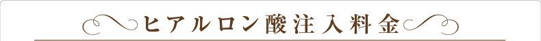 ヒアルロン酸注入料金