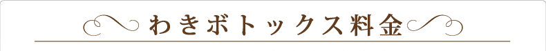 ヒアルロン酸注入料金