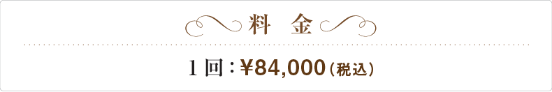 �����@1��84,000�i�ō��j�@
