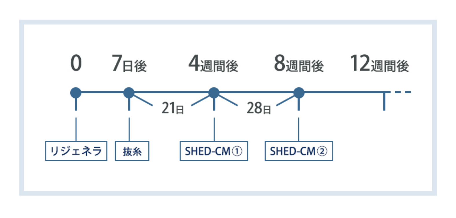 以降1カ月ごと:SHED-CM療法