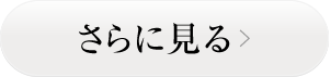 さらに見る