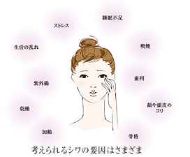 額や目尻の表情ジワ
