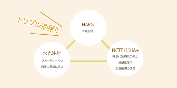 NCTF135HA+成分